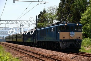 JR東日本　EF64 1053+旧型客車　新潟駅開業120周年号　往路　B