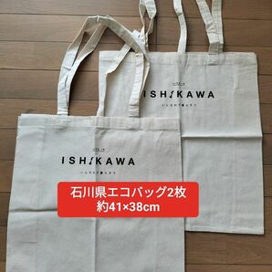 【554】石川県エコバッグ2枚　価格相談不可　今週の推しクーポン