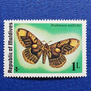 モルディブ★蝶の切手 計8枚 未使用切手 バタフライ  昆虫切手の画像3