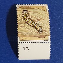 ボツワナ★1981年　昆虫６種　未使用切手　蝶　トンボ　カマキリなど_画像8