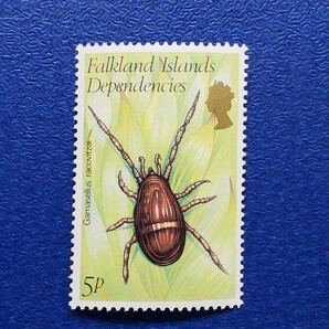 英領フォークランド諸島★1982年 昆虫６種 未使用切手の画像3