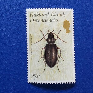 英領フォークランド諸島★1982年 昆虫６種 未使用切手の画像7