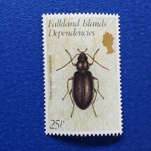 英領フォークランド諸島★1982年　昆虫６種　未使用切手_画像7