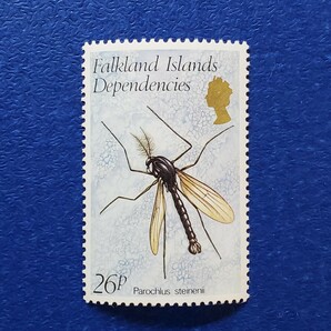 英領フォークランド諸島★1982年 昆虫６種 未使用切手の画像8