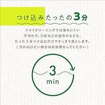 サンスター ドライアップ 詰め替え用 おしゃれ着洗剤 ドライクリーニング 家庭用 洗濯洗剤 液体 セルフクリーニング(ダウン ウー_画像4