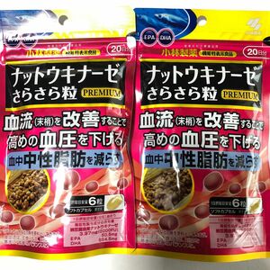 《小林製薬》 ナットウキナーゼ さらさら粒 PREMIUM （プレミアム） 中性脂肪 120粒 20日分 2袋【機能性表示食品】