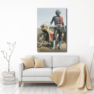  новый товар Kamen Rider гобелен постер /135/ фильм постер орнамент гараж оборудование орнамент флаг баннер табличка флаг скатерть 