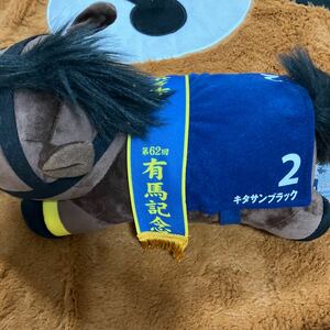  Sara bread collection soft toy BIG have horse memory kita sun black 