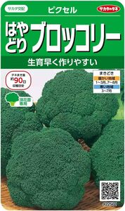 サカタのタネ 実咲野菜2501 はやどりブロッコリー ピクセル 00922501