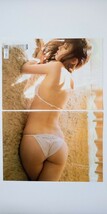 秋山莉奈 5ページ　切り抜き　週刊プレイボーイ　水着　(0531)_画像1