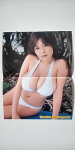 松金洋子 22ページ　切り抜き　水着　(0544)