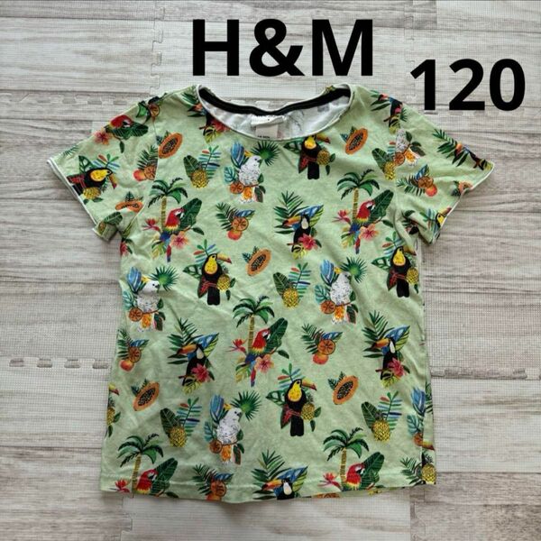 H&M インコ アマゾン 緑 半袖 ボタニカル Tシャツ 120