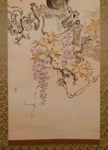 【模写】吉】10742 松野霞城 藤に山雉図 野口幽谷師事 茶掛け 茶道具 中国画 掛軸 掛け軸 骨董品_画像5