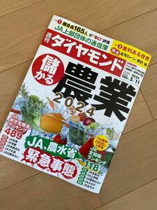 週刊 ダイヤモンド 2024年 5/11号 [雑誌]