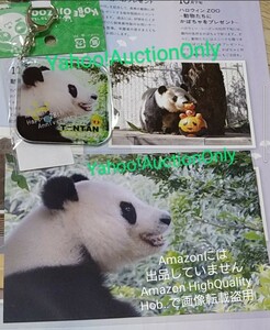 Amazon・ナミテッ/HighQuality Hob…で画像転載盗用■神戸 王子動物園 タンタンとハロウィン■キーホルダー 笑うパンダ■ポストカード