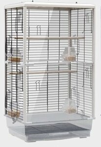  one side clear type * wire‐netting window large bird cage pet. ...( bird cage bird gauge bird small shop bird basket parrot transparent )*^