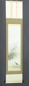 Art hand Auction ･ الاسم: لفافة معلقة الفنان: سيجي كانيكو العنوان: السمان التقنية: رسم ياباني (مرسوم يدويًا) (B2-HIO-R4-6-12-38.5), تلوين, اللوحة اليابانية, الزهور والطيور, الحياة البرية
