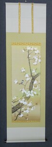 Art hand Auction Hanging Scroll 52 Product Name: Hanging Scroll by Shunrei Konishi Cherry Blossoms and Small Birds (Japanese painting), Painting, Japanese painting, Flowers and Birds, Wildlife