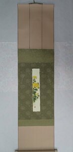 Art hand Auction Artiste : Kaoru Onogi Titre : Fleur de chrysanthème Technique : Bande de papier dessinée à la main, parchemin suspendu sur papier de couleur NO-R6-3-13.8, Peinture, Peinture japonaise, Fleurs et oiseaux, Faune