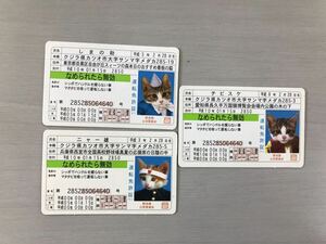 なめ猫 免許証 3枚セット 長期保存品 少々汚れ有 画像確認【F0529-4】 