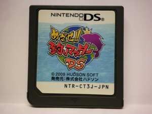 DS めざせ!!釣りマスター DS (ソフトのみ)