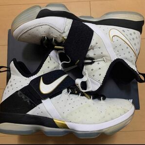 NIKE LEBRON14 BHM ナイキ レブロン