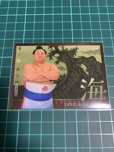 BBM2024大相撲カード 響 64 美ノ海義久 
