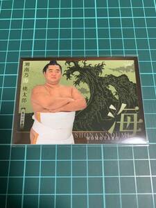 BBM2024大相撲カード 響 62 湘南乃海桃太郎