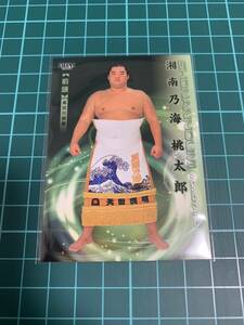 BBM2024大相撲カード 響 32 湘南乃海 桃太郎