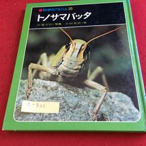 e-532 科学のアルバム35 トノサマバッタ 佐藤有恒・写真 小田英智・文 あかね書房※10_画像1