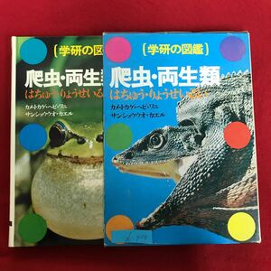d-438 *10/( Gakken. illustrated reference book ). insect * amphibia is ...* ryou ..... turtle * lizard * snake *wani reference uo* frog issue day details unknown 