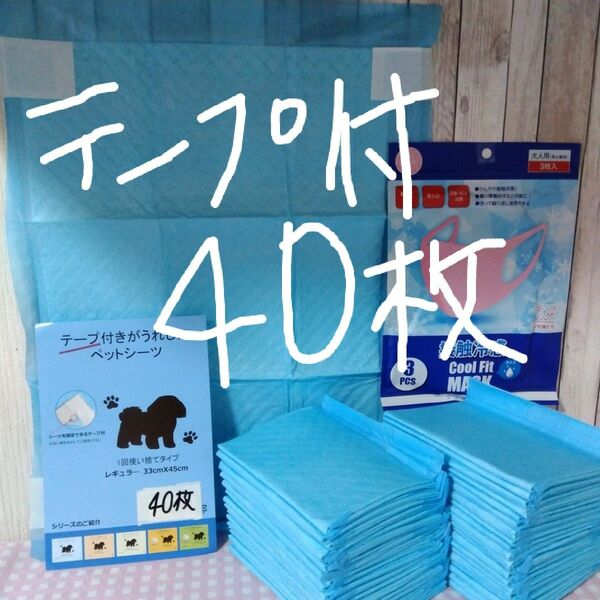 カテ変OK！新登場！ずれ防止シール付ペットシーツ40枚！超薄型レギュラーサイズ！