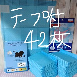 カテ変OK！新登場！ずれ防止シール付ペットシーツ42枚！超薄型レギュラーサイズ！