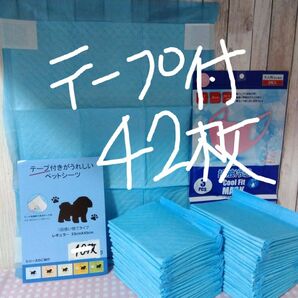 カテ変OK！新登場！ずれ防止シール付ペットシーツ42枚！超薄型レギュラーサイズ！