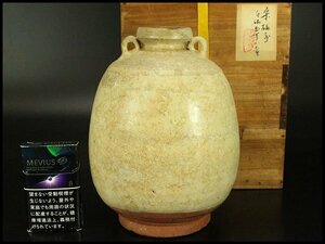 【銀閣】李朝 高麗 白釉 双耳 壷 高20cm 旧家蔵出(AZ946)