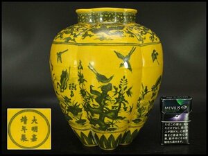 【銀閣】中国美術 黄地 青花 水鳥紋 壷 高25cm 旧家蔵出(LC179)