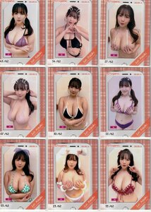 【天木じゅん2～2024～】/62 フォトジェニックカード 全９種コンプリートセット トレーディングカード