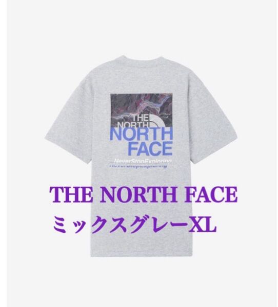 THE NORTH FACE ザノースフェイス NT32458 ショートスリーブハーフスウィッチングロゴティー ミックスグレーXL