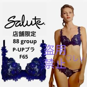 新品タグ付き Salute サルート 店舗限定 88G P-UPブラジャー F65 KO ブリジット 大女優