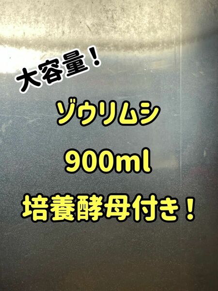 自家培養特濃ゾウリムシ約900ml！培養酵母10粒付き！