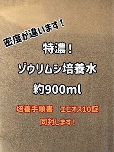 特濃！ゾウリムシ培養水約900ml！培養手順書とエビオス10錠同封！