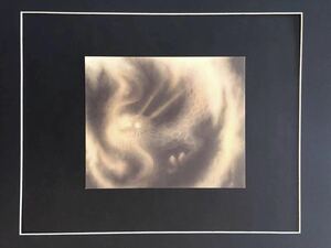 Art hand Auction 【千住博】絵柄5種 千住博展 大徳寺聚光院伊東別館 襖絵｢雲龍｣ポストカード 印刷物 龍 風水 木製額装31×26cm 絵柄違い有り, 美術品, 絵画, グラフィック