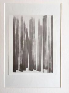 Art hand Auction [Toko Shinoda] 84 种不同设计可供选择 水墨画 Akatsuki 版画 抽象画 水墨画 书法 Toko Shinoda 木制框架尺寸 44.1 x 33.8 cm 有多种设计和尺寸可供选择, 绘画, 水彩, 抽象绘画