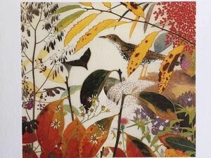 Art hand Auction [Tanaka Isson] 12 Entwürfe des Memorial Museum, Herbstfarben der Tigerdrossel Postkarten aus den Wäldern von Amami, Drucksache, Gerahmt 31 x 26 cm, Verschiedene Designs und Größen erhältlich, Kunstwerk, Malerei, Grafik