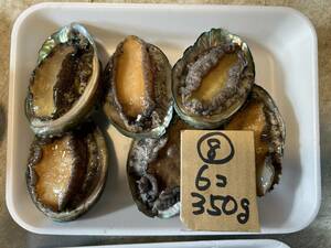 [. domestic production ].. abalone (6 piece approximately 350g) freezing heating for 8