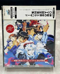 P. 神秘の世界 エルハザード OVA 設定資料集 特別記念盤 2枚組　[動作未確認] 帯付　Windows95