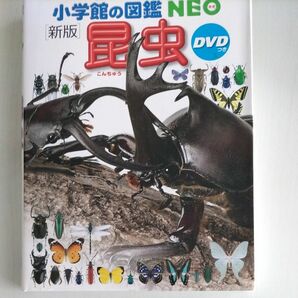 小学館の図鑑 昆虫(DVD付き)