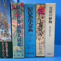 「原色大図鑑9冊一括！牧野植物正続/植物/高山植物/園芸植物/日本の天然記念物/世界植物/茶花大事典 他」定価計22万円_画像3