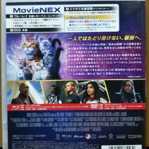マーベルズ Blu-ray 純正ケースのみ DVD欠品 MARVEL の画像2