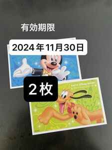 東京ディズニーリゾート　パークチケット 2枚